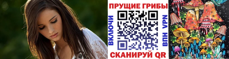 Псилоцибиновые грибы мицелий  цены   Оренбург 