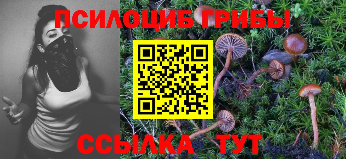 Псилоцибиновые грибы Psilocybine cubensis Оренбург