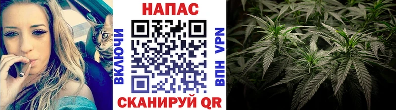 OMG зеркало  Оренбург  Шишки марихуана план 